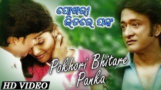 POKHORI BHITARE PANKA | Romantic Song | Gobinda Chandra | SARTHAK MUSIC | Sidharth TV