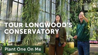 Longwood Garden's CONSERVATORY TOUR — Ep. 308