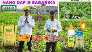 IFFCO Nano Dap&Sagarika seeds treatment  result#krushibhoomi