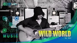 Mr.Big - Wild World (ACOUSTIC COVER)