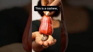 This is a cashew! Yes, really. #didyouknow #fruit