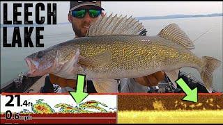 POWER FISHING Late Summer Walleyes on Leech Lake!