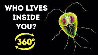 How Much Bacteria Is In Your Body? || 360 VR