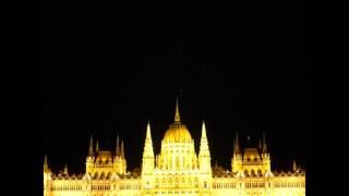 Dancing Seabirds over Parliament Building Budapest, Hungary