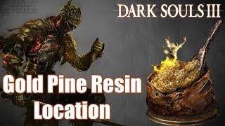 Dark Souls 3 - Gold Pine Resin location | How to get Gold Pine Resin (Game Guide)