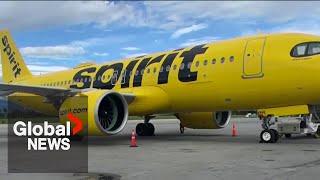 Spirit Airlines plane hit by gunfire in Haiti's capital, flight attendant struck