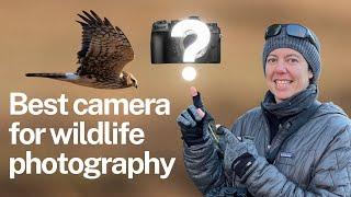 What is the best camera for wildlife photography?