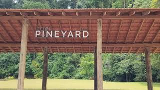  Pineyard  Janda Baik