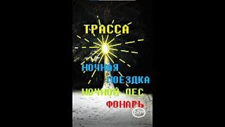 Трасса. Ночная поездка. Ночной лес. Фонарь. #shorts#poznai2mir#фонарь#ночь #лес  #поездка