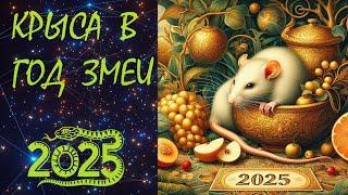 КРЫСА в 2025 году /Восточный гороскоп для КРЫСЫ на 2025 год / КРЫСА В ГОД ЗМЕИ.