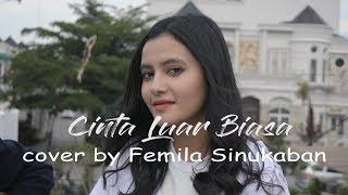 Cinta Luar Biasa - Andmesh Kamaleng (Cover by Femila Sinukaban)