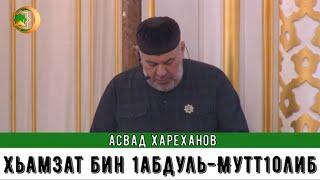 Асвад - Хьамзат бин 1абдуль-Мутт1оллиб