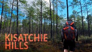 BACKBONE TRAIL | Backpacking the Kisatchie Hills Wilderness | Hiking Louisiana