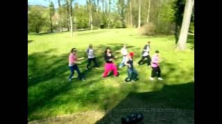 Taneční skupina Heart2Beat.wmv