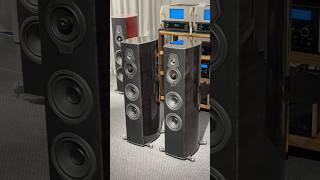 Sonus faber Serafino 2G unboxing #audiocostruzioni