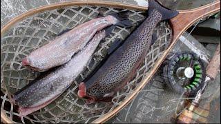 Remote Alaska | Trout Fly Fishing In the Tongass