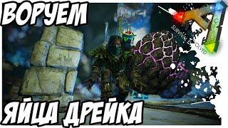 КАК ДОБЫТЬ ЯЙЦА ДРЕЙКА! МЯСО! 18+! ROCK DRAKE EGGS! ARK  Survival Evolved