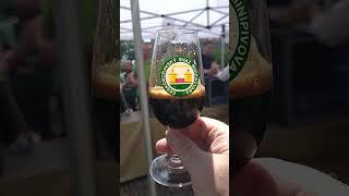 Bad Flash  Torpid Mind stout