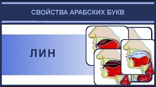 Айман Сувейд. 14. Свойства | сыфаты: ЛИН (русские субтитры)