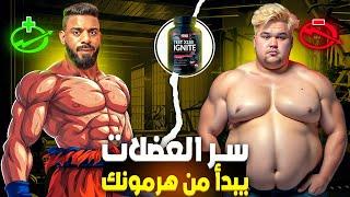 كيفاش كيأثر هرمون الرجولة على نمو وضمور العضلات  الحل بين يديك