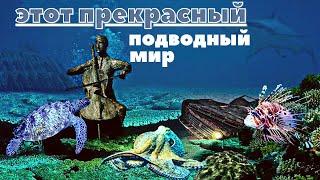 Этот прекрасный, подводный мир / Успокаивающая, волшебная, музыка/Татьяна К.С/СтихиЯ***