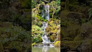 Waterfall in the Portland Japanese Garden. #waterfall #garden #nature