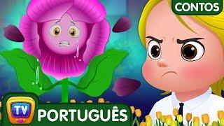 Pinky, A Orgulhosa Petunia (Pinky, The Proud Petunia) - Histórias De Ninar|ChuChu TV Contos Infantis