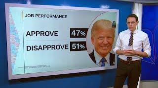 Steve Kornacki Breaks Down The New National NBC News Poll: Political parties, DOGE, Trump Approval