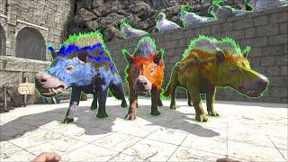 ARK Survival Evolved caballus andrewsarchus Location