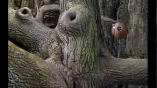 Samorost 1 Walk through