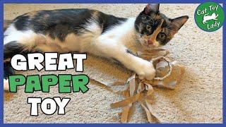 Paper quick DIY cat toys 5 minute crafts