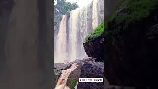 #Mainpath#Tigerpoint#waterfall#Chhattisgarh ka simla#youtubeshorts#turistplace