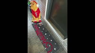 Decoración de la entrada #christmas2023 #christmasidea #navidad #christmasdog #viral