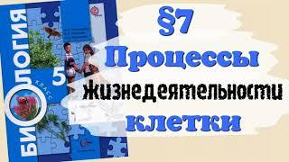 Краткий пересказ §7 Процессы жизнедеятельности клетки. Биология 6 класс Пономарева