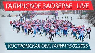 Галичское Заозерье - LIVE 15.02.2025