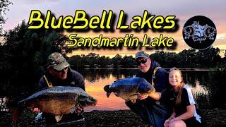 Bluebell Lakes | Sandmartin Lake | UK Carpin | Carp Fishing |  #tonyukcarpin #ukcarpin