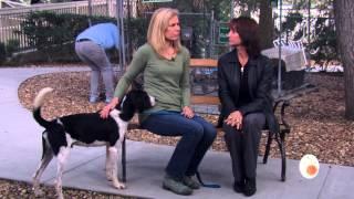 GIRL TALK | Hilton Head Humane Association | http://www.HHHumane.org