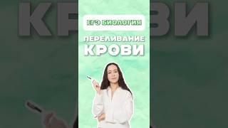 Переливание крови #биология #умскул #егэ #жаннаказанская