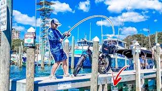 State Record While Fishing Destin Harbor?