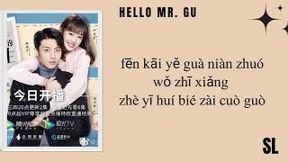 OST Hello Mr. Gu / Su Shiding - 'Deeply  Concerned' Lyrics