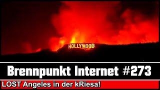 "Hitler war Links", LA in Flammen, Attacke auf Lindner, Riesa AFD Block // BRENNPUNKT INTERNET #273