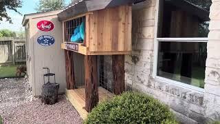 Cedar wood shed and out door storage