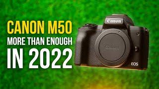 Canon M50 - STILL The Best Budget Camera?