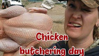 Chicken butchering *warning graphic* Its what I do!