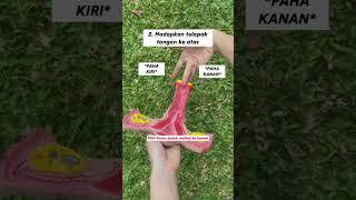 Mari Kenali Serviks Kamu #youtubeshorts