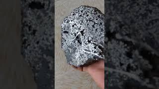 Mesosiderite Meteorite. NWA 2924 (Pairing)