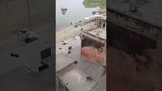 Funny Monkey Moments #youtubeshorts #shortvideos #shorts #viral #trendingshorts