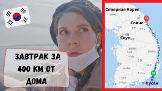 Проехали с мужем по Корее с юга на север за 10 часов. Катя и Кюдэ/Южная Корея