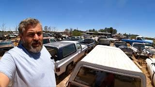 Massive Junkyard Muscle Car Heaven: Inside Duran's Auto Salvage! Part 2