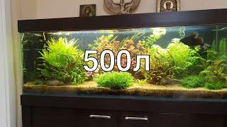 Растительный аквариум на 500л своими руками